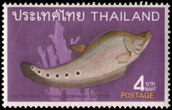 Thailand #508 MNH
