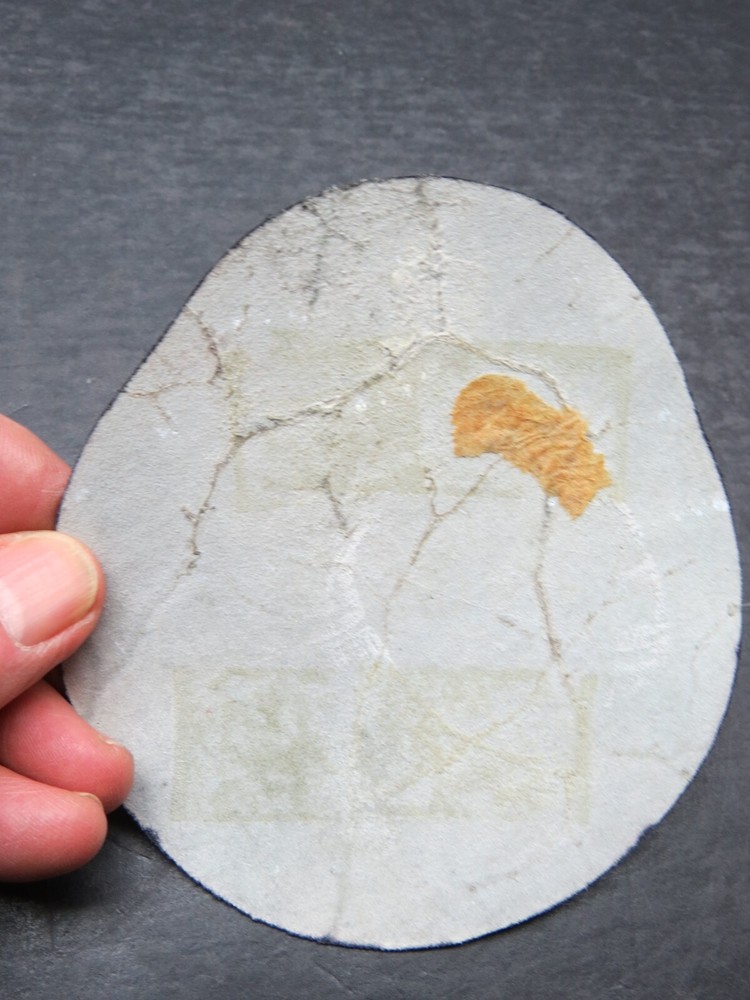 WW2 AAF 4th Fighter Squadron Replica Leather Jacket Patch