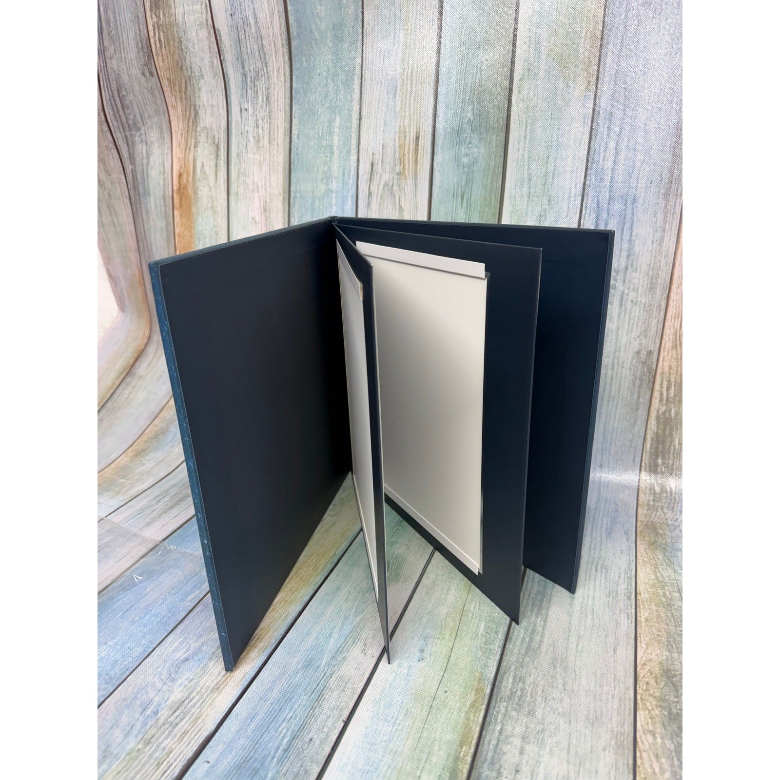 Carnival Cruise Photo Album NEW 8x10 Folio Vacation Travel