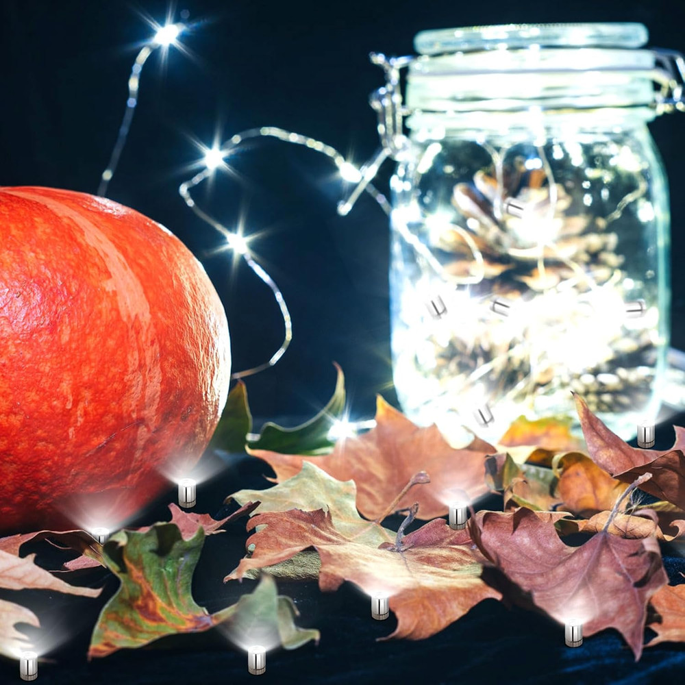 BTFO 10Pcs Micro Led Lights, Battery Powered Tiny Led Lights Small Mini