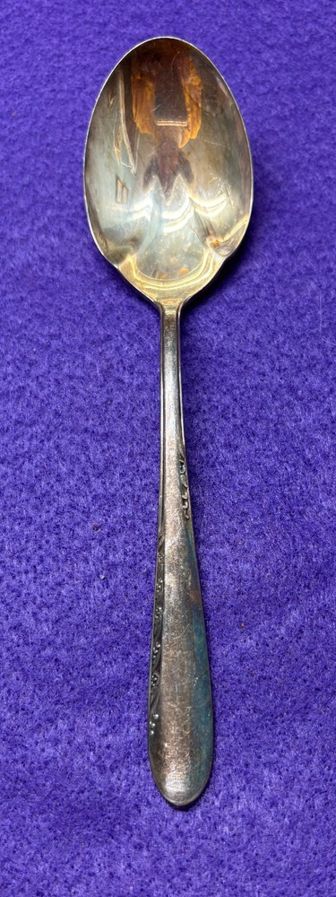 Reed & Barton Silverplate Sugar Shell Dainty Pattern?
