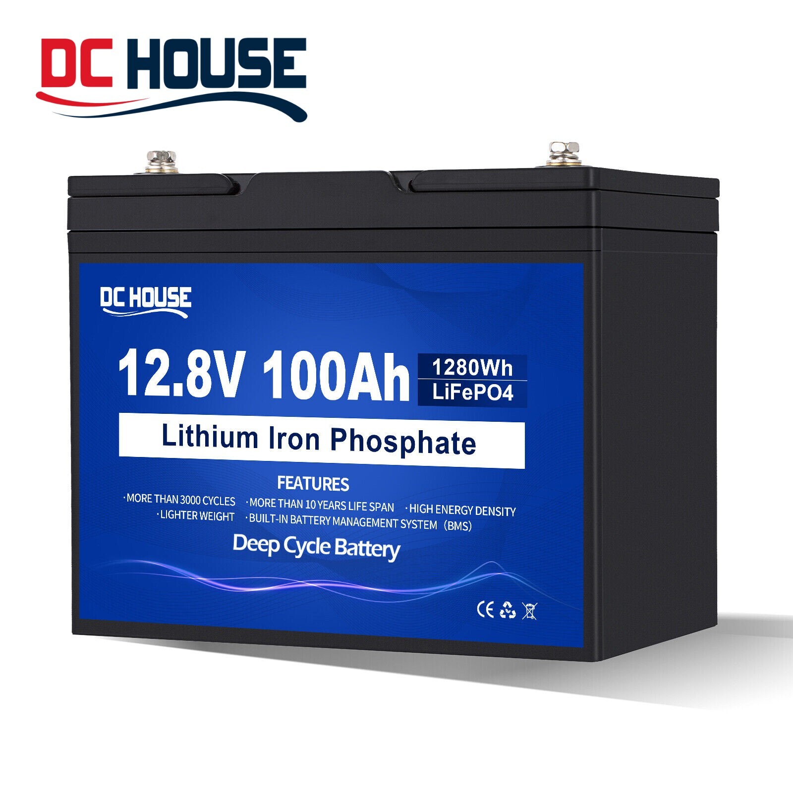 12V 100Ah LiFePO4 Lithium Battery 100A BMS for RV Solar Off-grid Trolling Motor