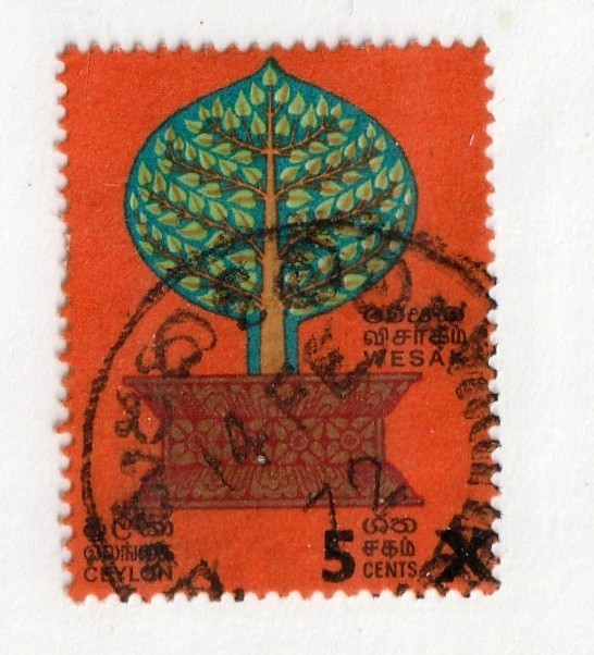 Ceylon         463          used
