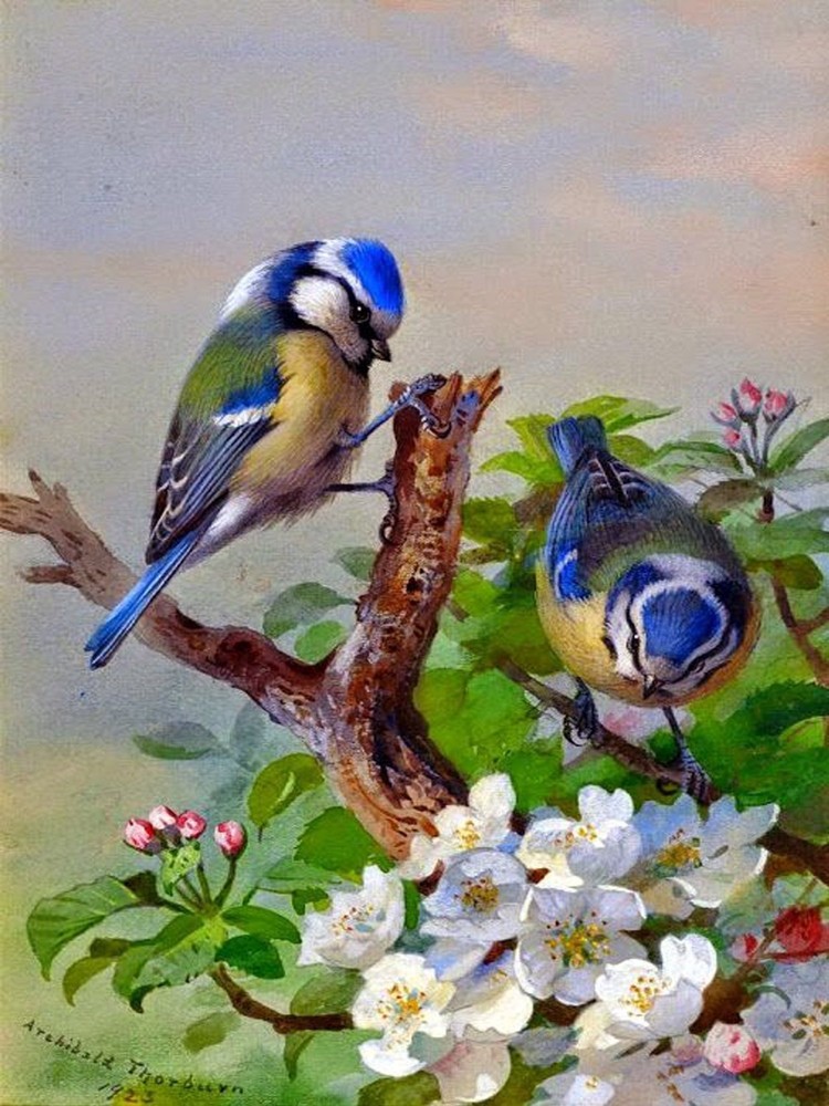Titmouse on Tree Tile Mural Kitchen Bathroom Wall Backsplash Ceramic 6x8