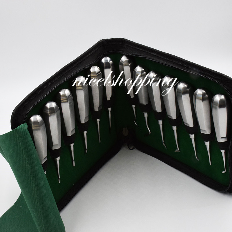 New Dental Autoclavabl Extraction Elevators Luxating Luxation Apical Root 13Pcs