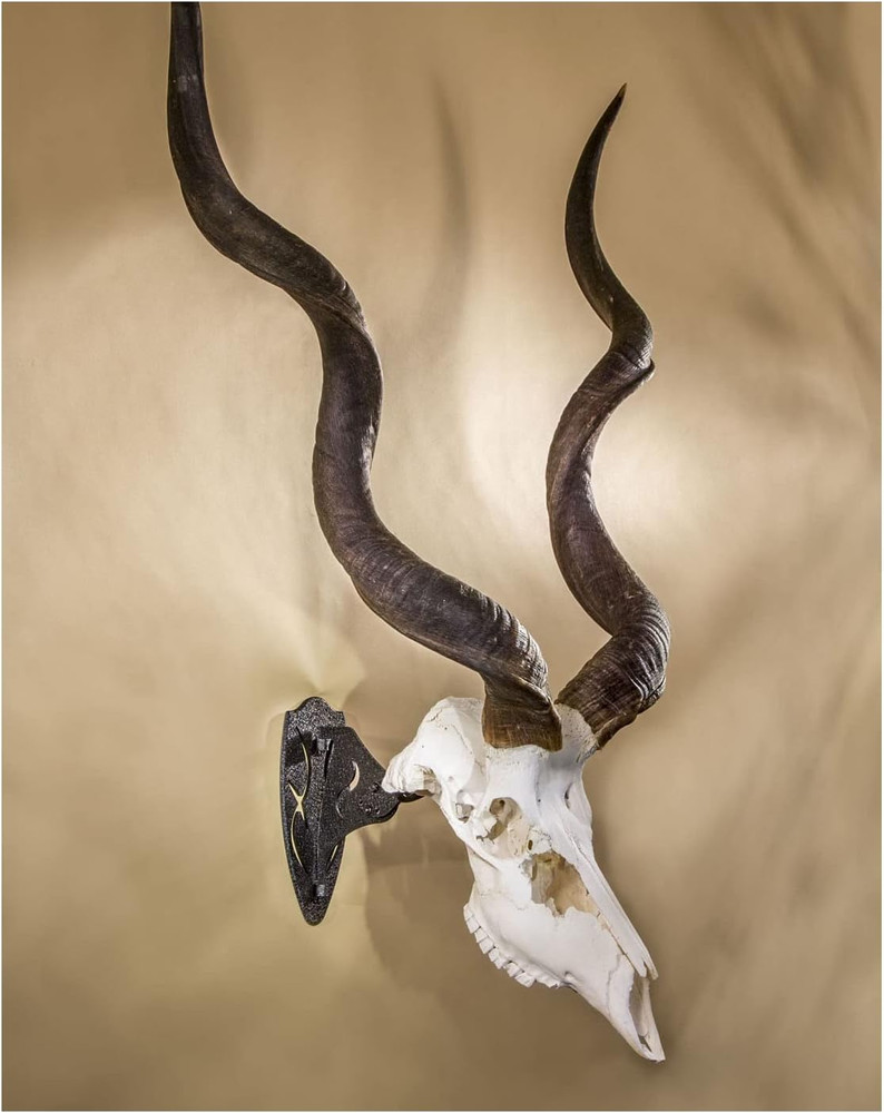 Big Hooker Trophy Mount - Durable Steel for Large Game - Graphite & Brown