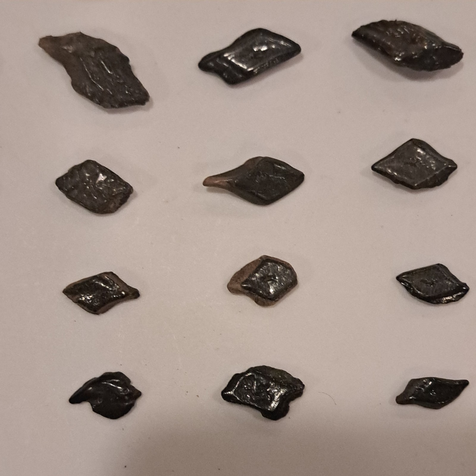 44 ALLIGATOR GAR SCALES FLORIDA FOSSILS ICE AGE EXTINCT FISH BONES TOOTH TEETH @