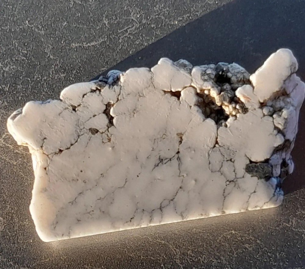 White Howlite Specimen type Slab - 40.2 Gms - Spiderweb - Black - gray - White
