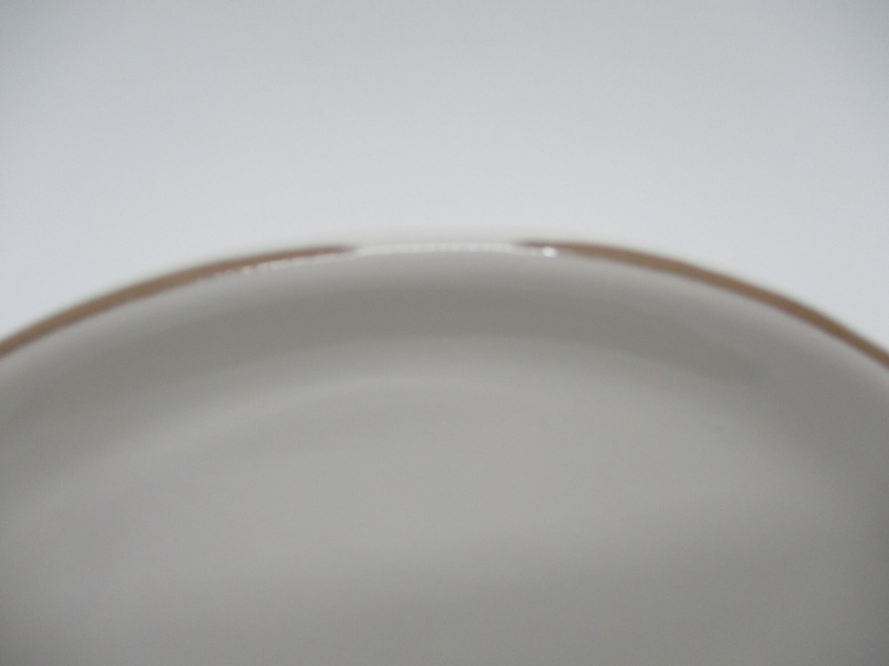 SPLIT-P LOGAN DINNER PLATE - 10 3/4" 0608I