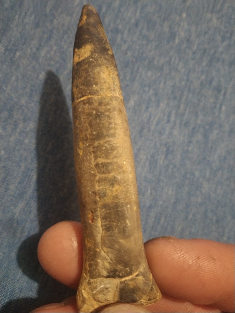Backalite Spearhead RARE!