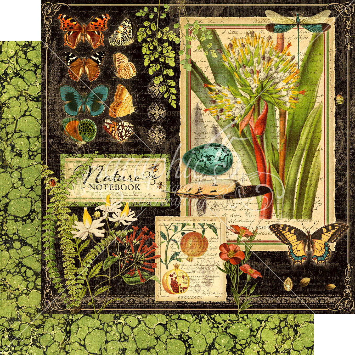 GRAPHIC 45 NATURE NOTEBOOK RETIRED 2020 ~NATURE BOTANICAL BUTTERFLY *SHIPS FREE*