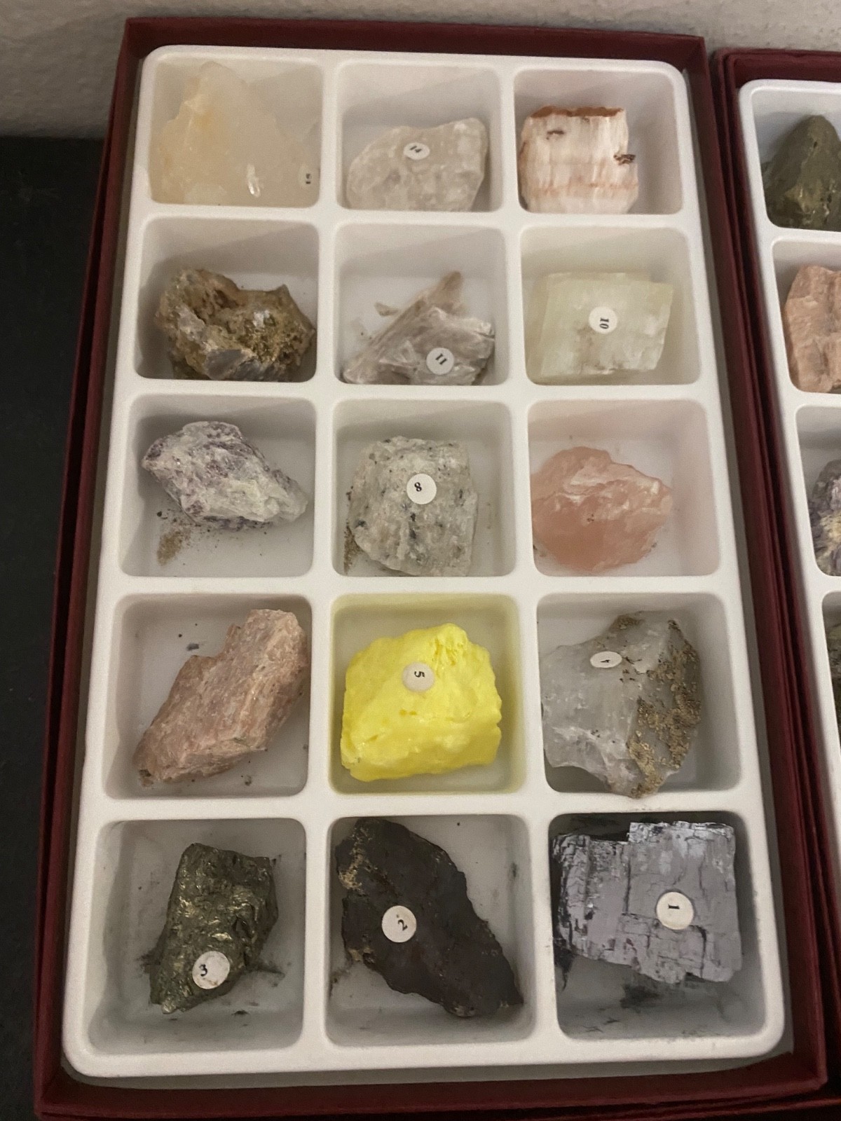 Scott Resources Fossil Rock Mineral Collection for Classroom Geology Educational