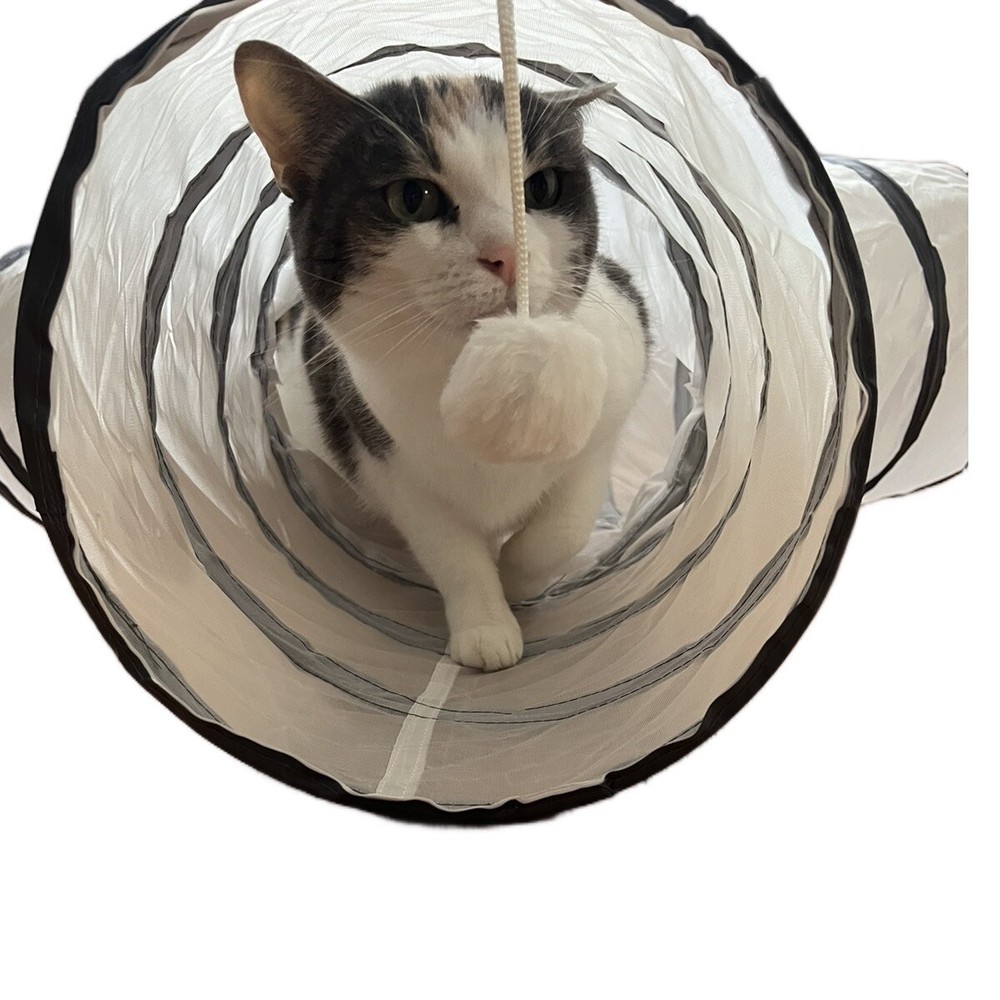 Interactive Cat 3-Way Tunnel With Ball Toy