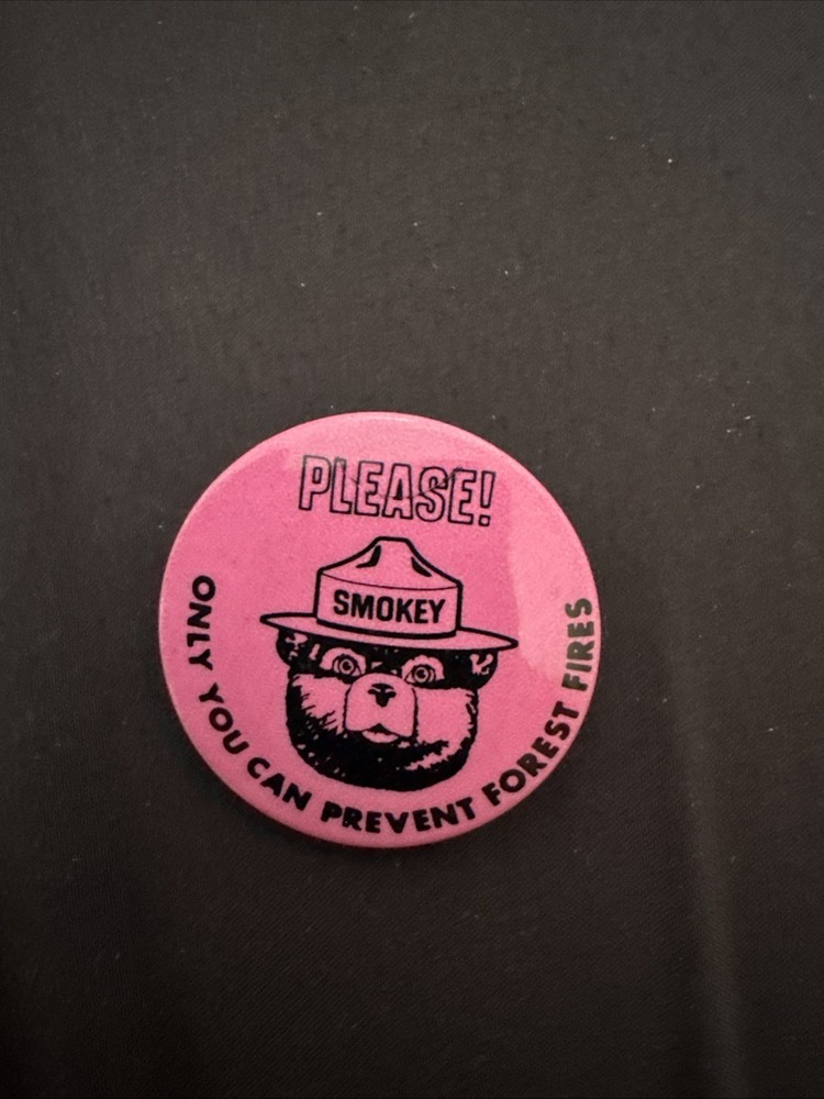 Smokey the Bear Pin