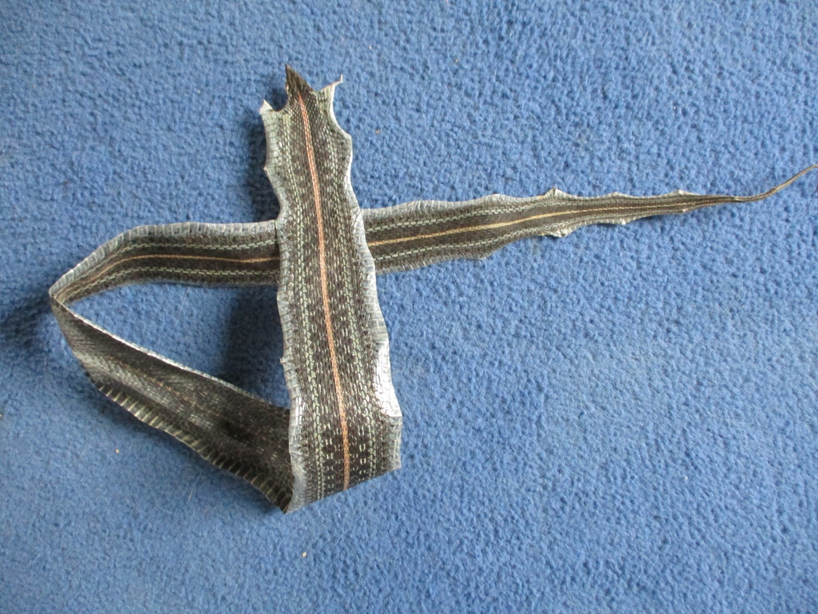 garter snake skin garden snake hide DRY TANNED wrap pen blanks 36 in. B3