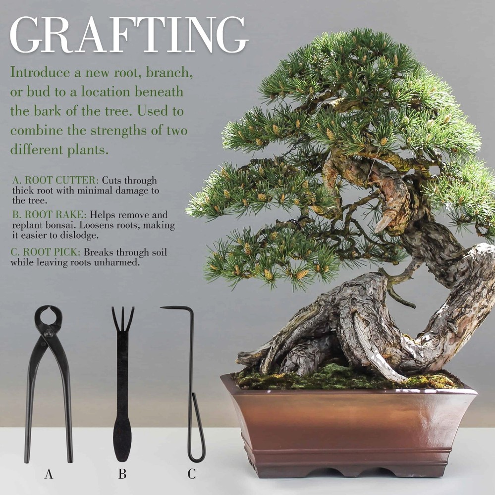 Bonsai Kit 15pc Master Tool Set