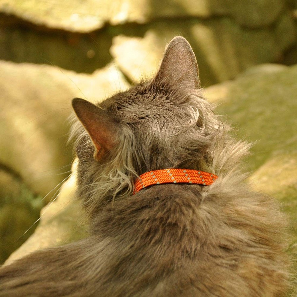 Elasta Cat® Reflective Safety Stretch Collar