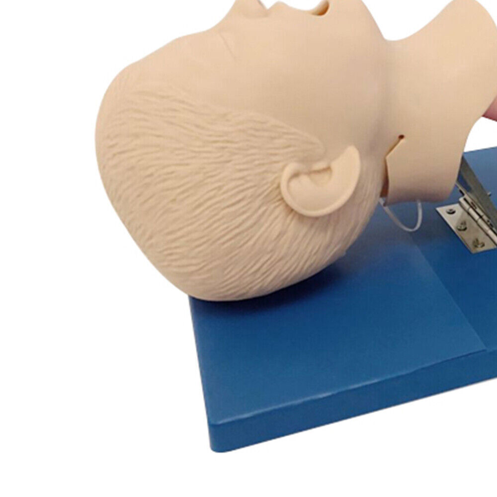 Study Pediatric Oral Nasal Intubation Manikin Study Teaching Model Training PVC