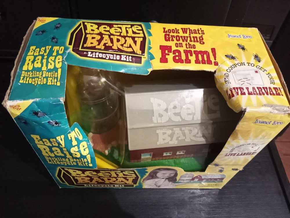 BEETLE FARM Insect Lore Lifecycle Kit