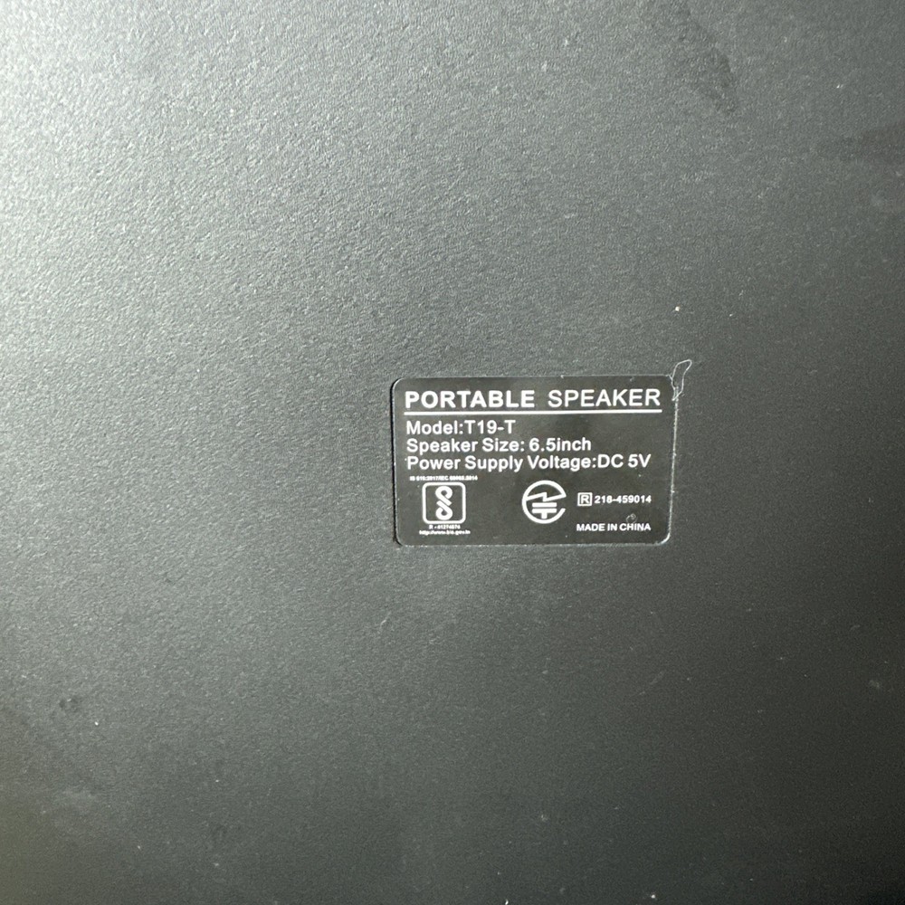 Portable Bluetooth Karaoke Machine