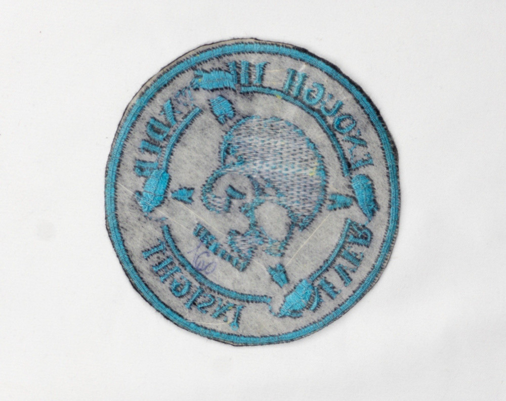 Never Enough Thunder Insight Blue Skull Iron-on Patch 3.5"