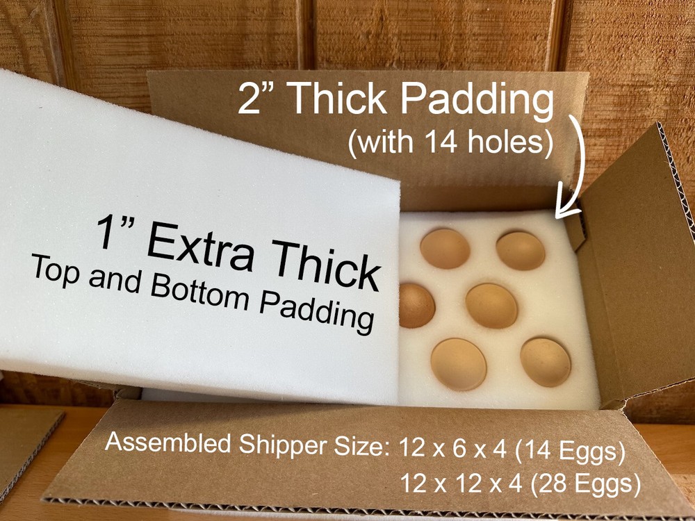 6 SETS - 14 Hole Foam Egg Shipper with Extra Thick Padding!