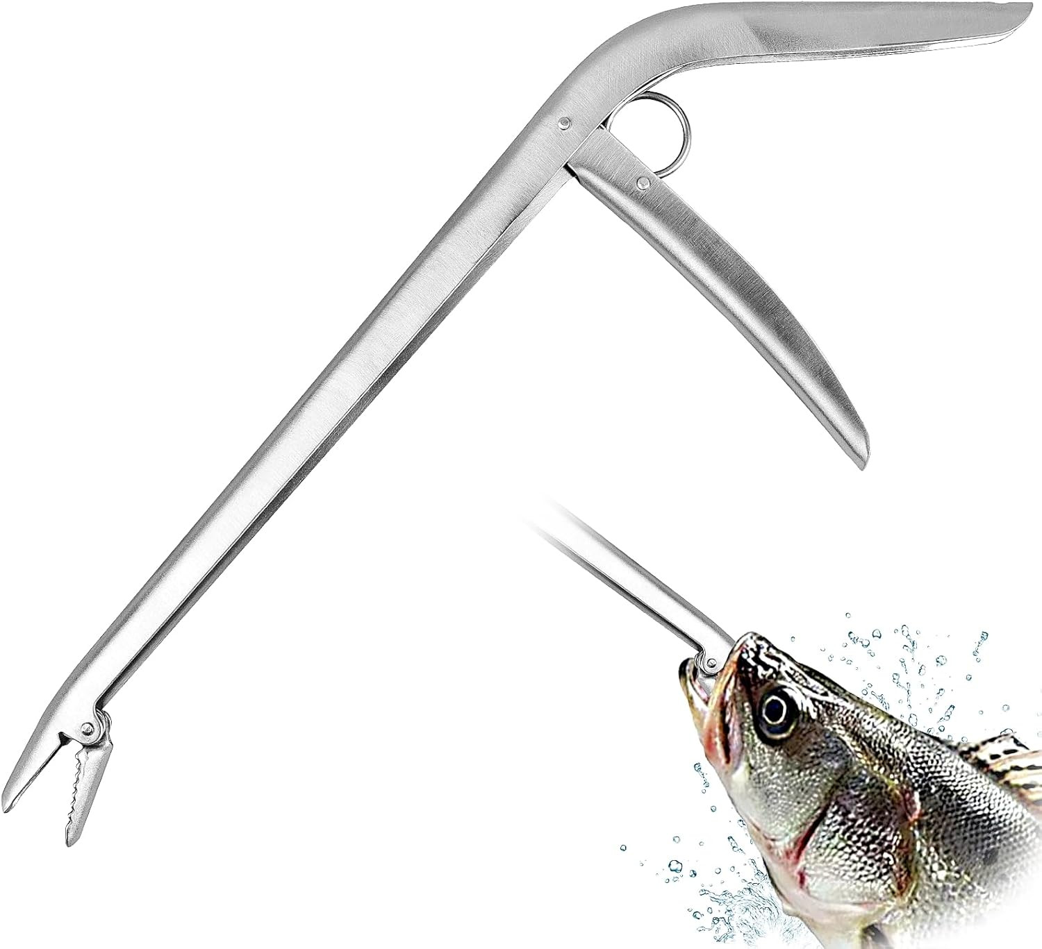 Fish Hook Remover, Premium Stainless Steel Fish Hook Remover Tool - Essential Fi