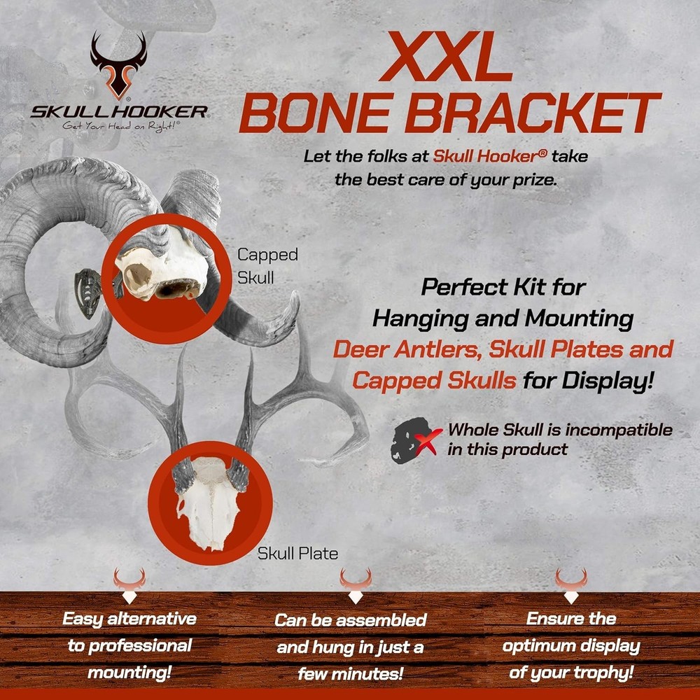 Quick-Install XXL Bone Bracket for Antlers – Professional Trophy Mounting