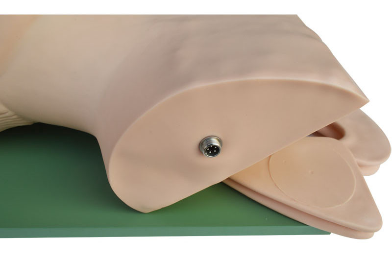 Airway Management Model, Healthcare Training Airway Manikin Patient Simulators