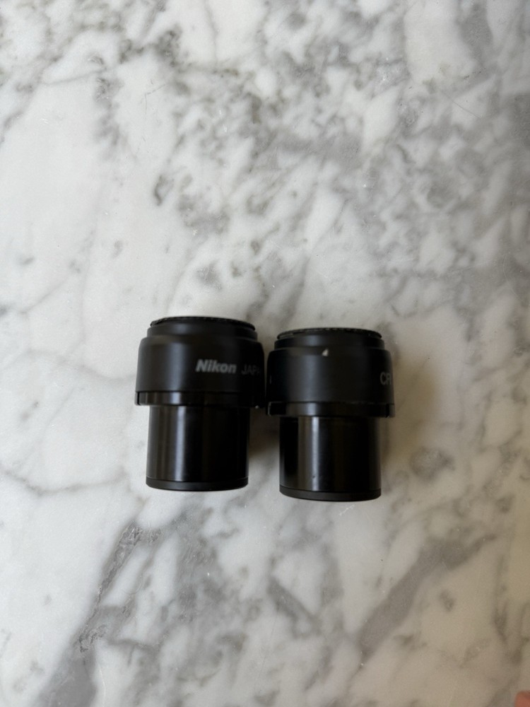 Pair Nikon Eclipse 80i 90i Microscope Eyepiece Occulars CFI 10x/22