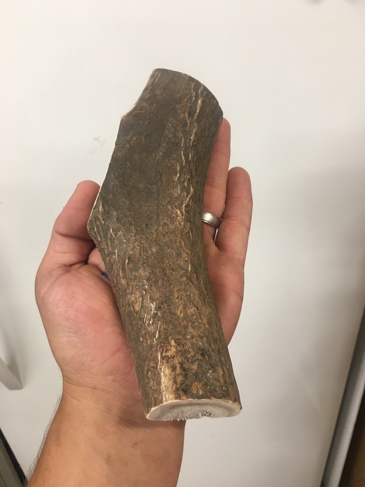 Huge JUMBO MAGNUM Split Prime Chews Elk Antler Dog Chew SALE Large XXL (1 Ea)