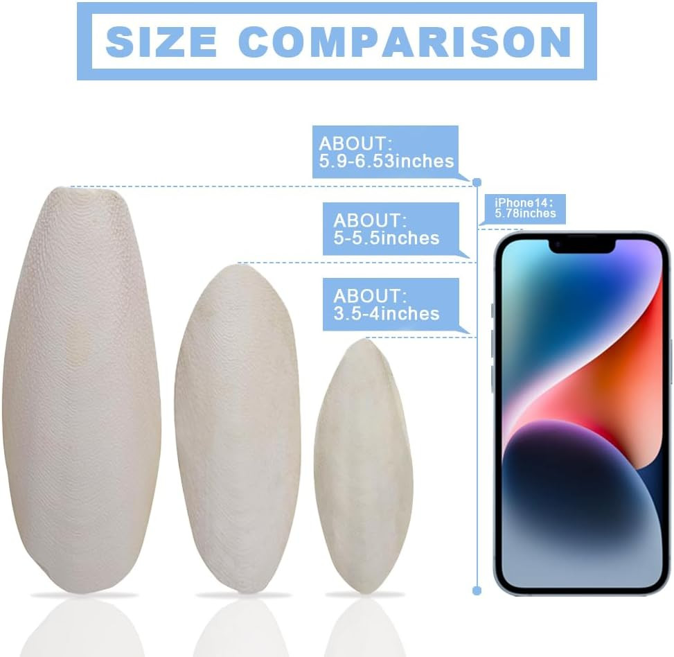 5"-5.5" Bird Cuttlebone for Parakeets, Cuddle Bone with Metal Holder, Cuttlefish