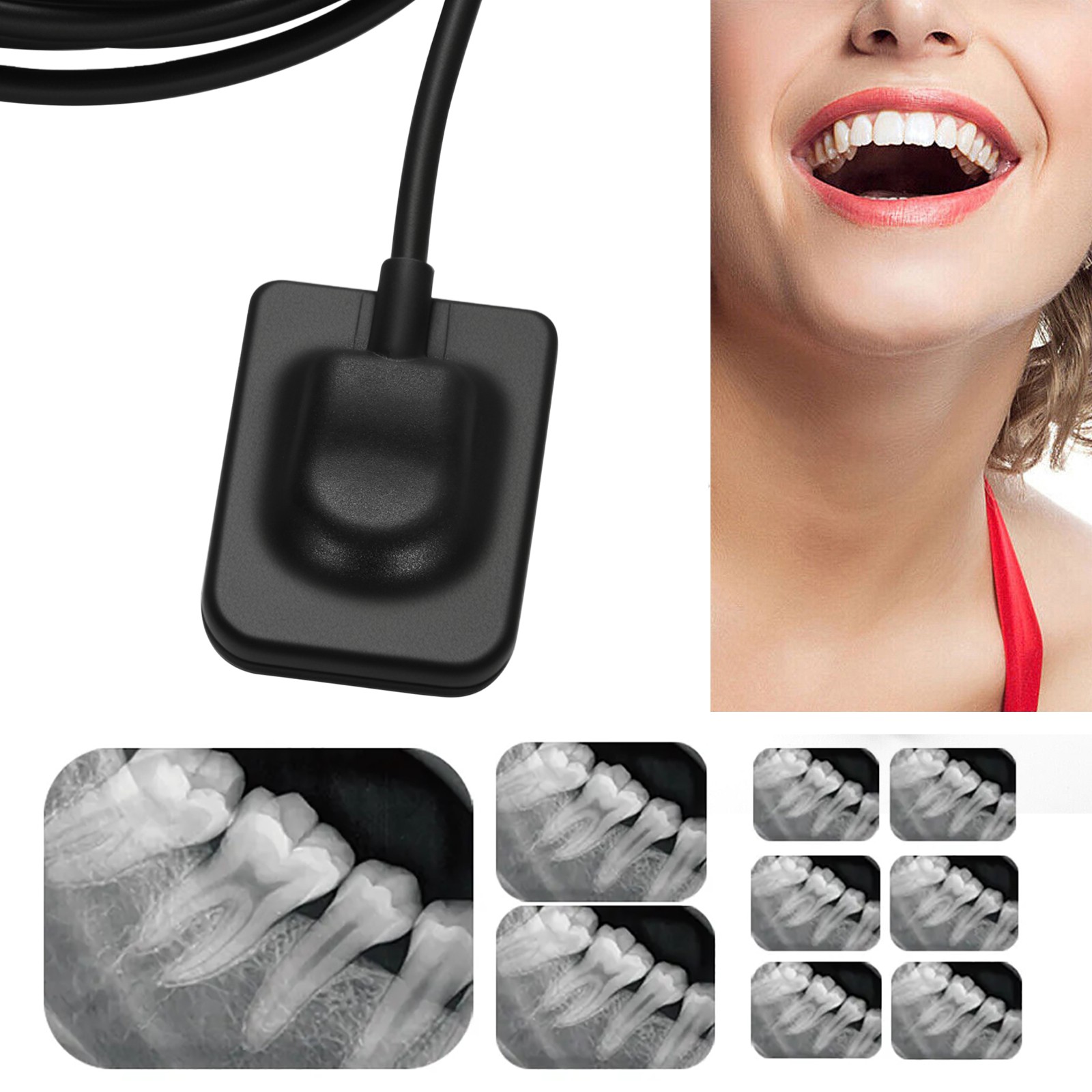 USA Dental X-Ray Positioner Digital Xray Sensor Holder Film Positioning System