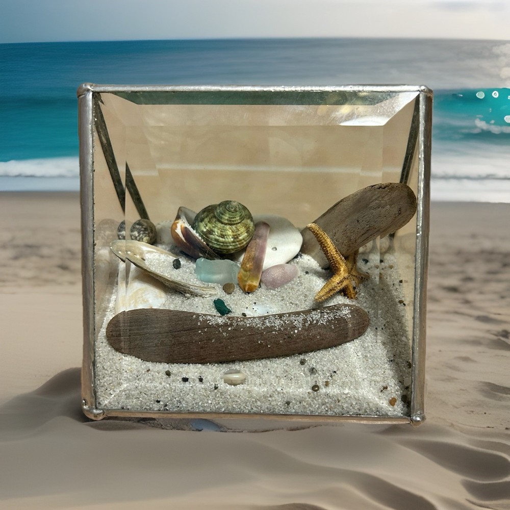 Ocean Sea shells Looking Glass Display Triangle