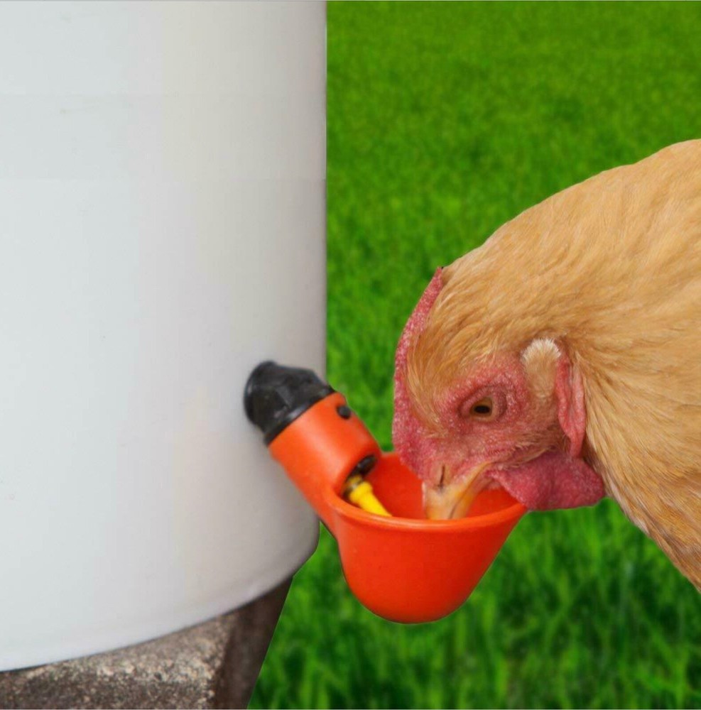20 Poultry Water Drinking Cups Chicken Hen Plastic Automatic Drinker Feeder