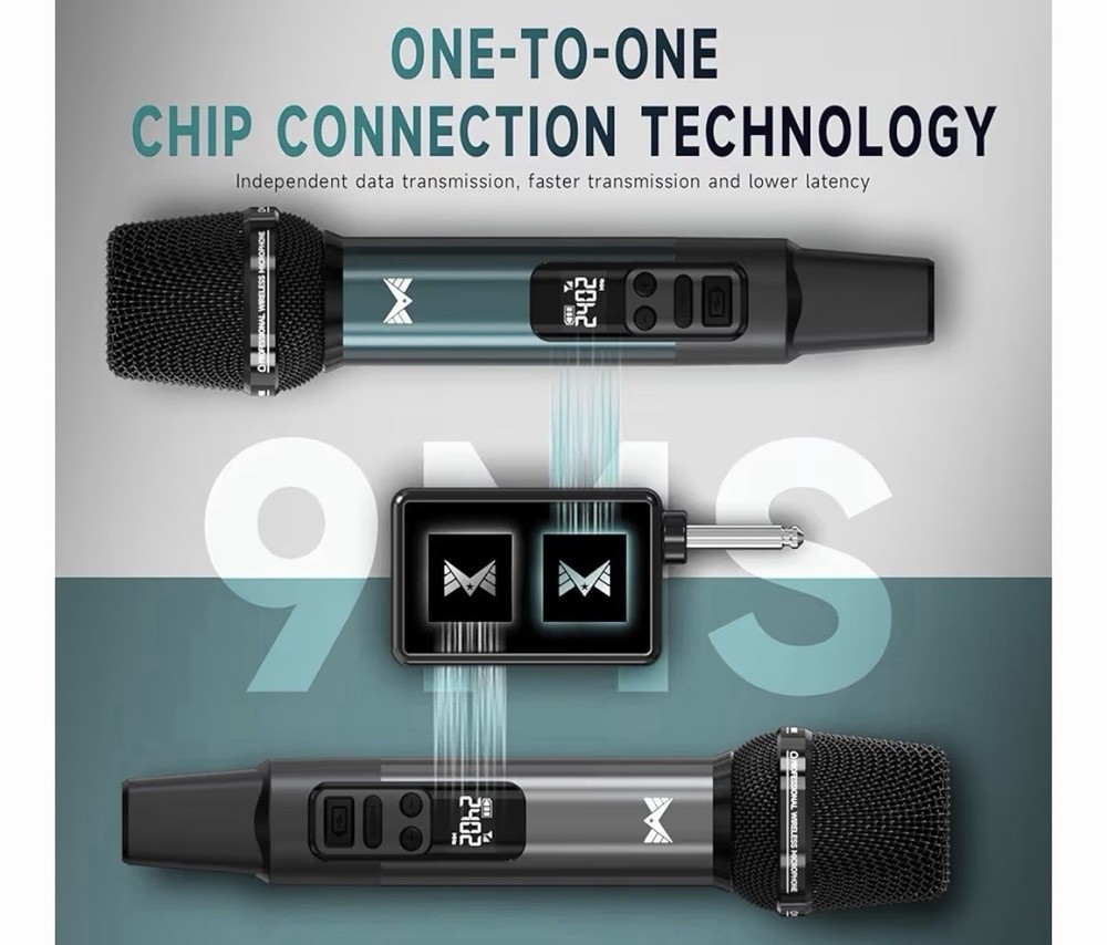 ECHOVUSSY Kircicas Microphones System. (2/22)