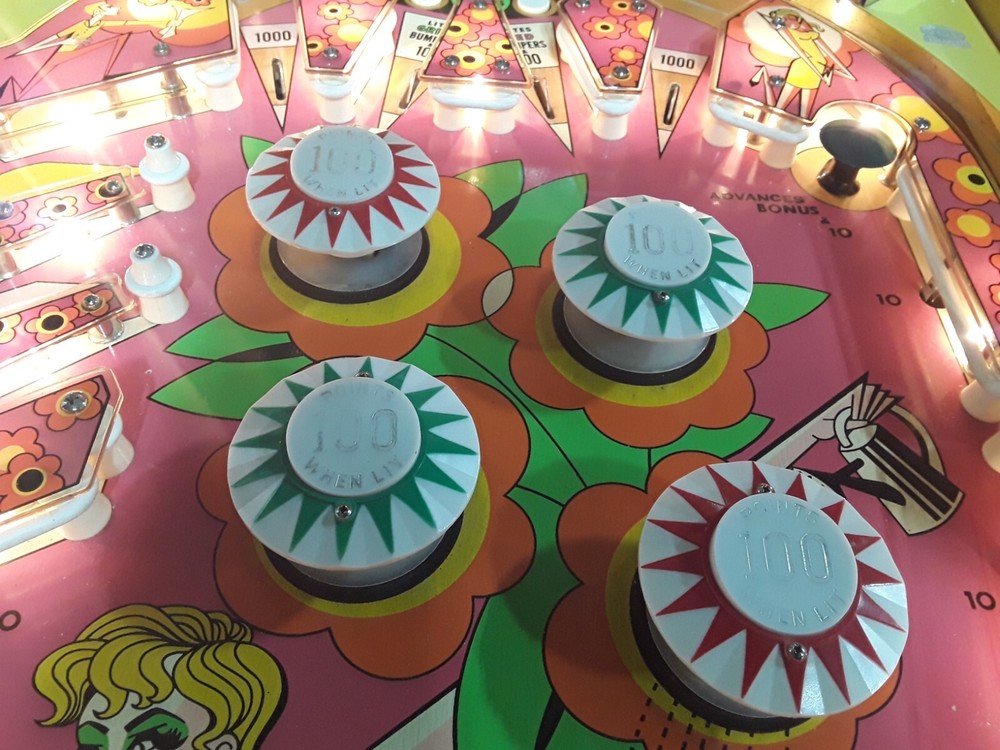 Zip-A-Doo Pinball Machine by Bally