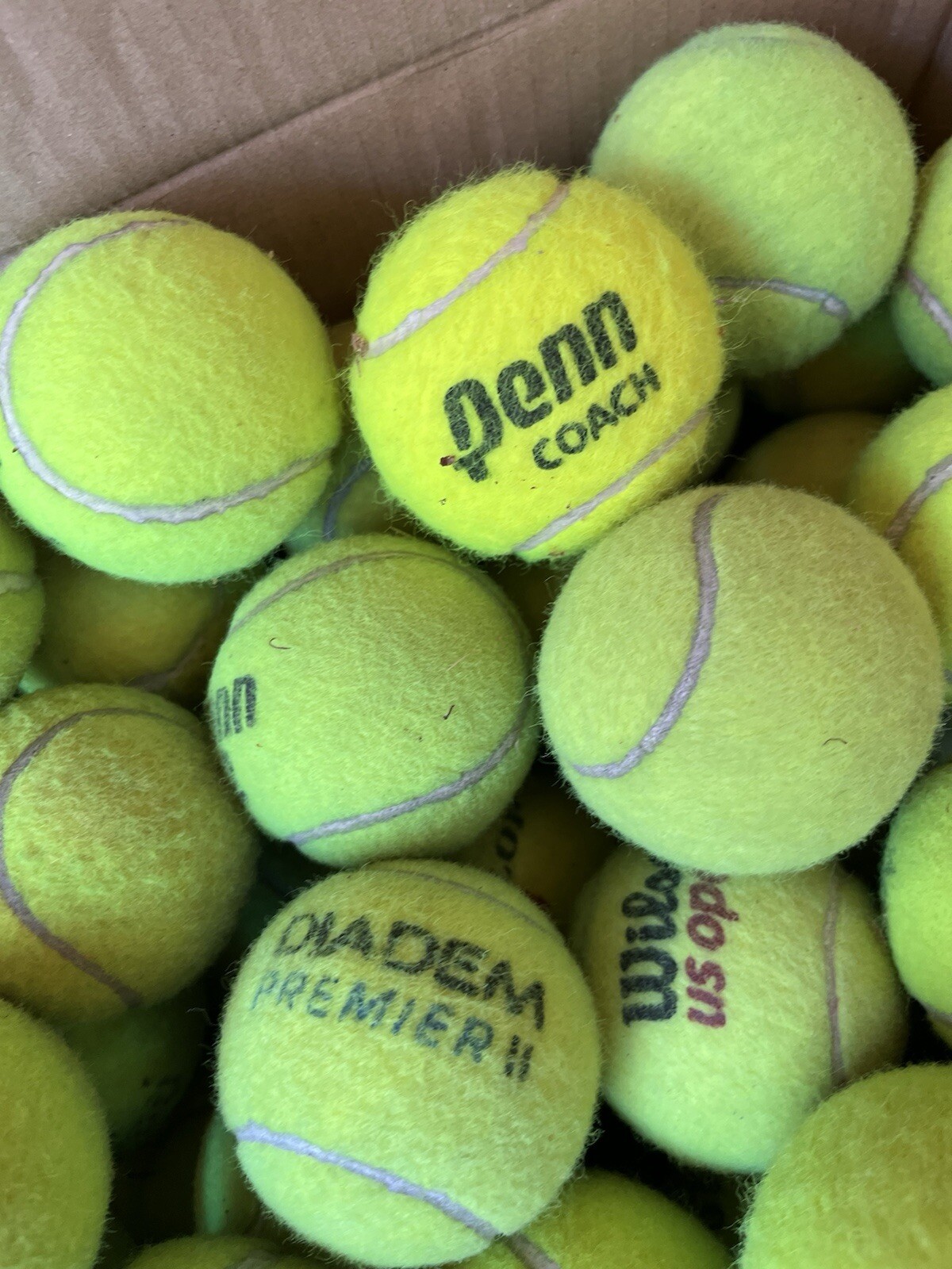 10 of Good Grade used Tennis Balls from Wilson, Dunlop, Penn, Head, etc Dog Toys
