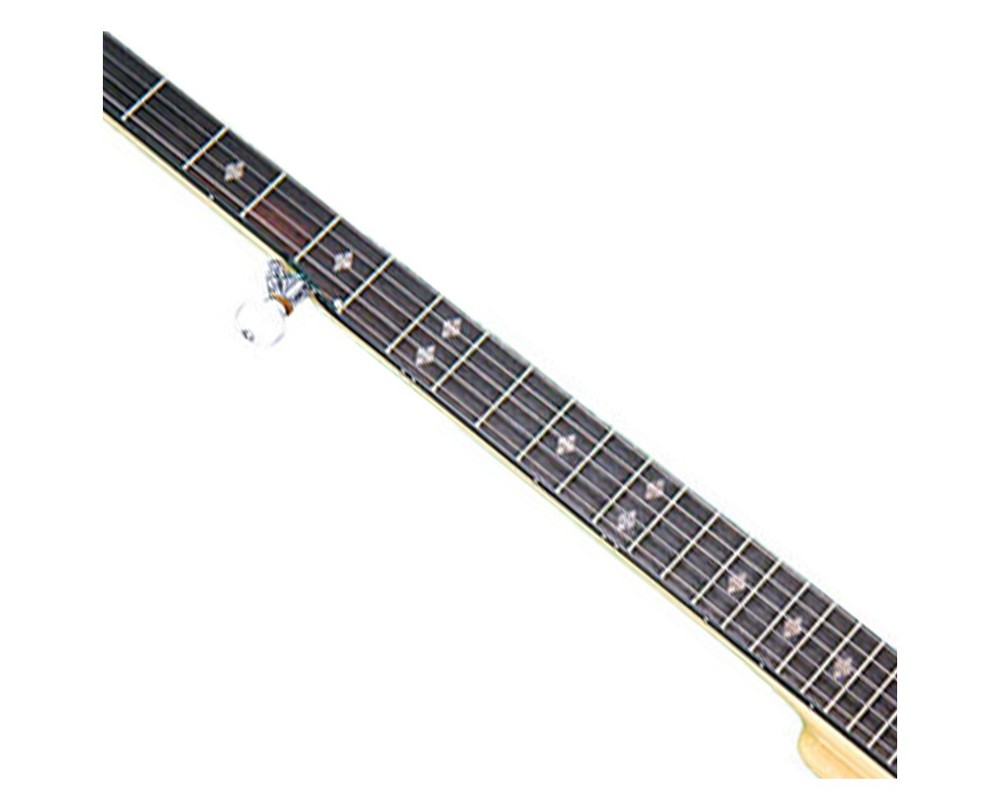 Gold Tone CC-100 Intermediate Openback Banjo