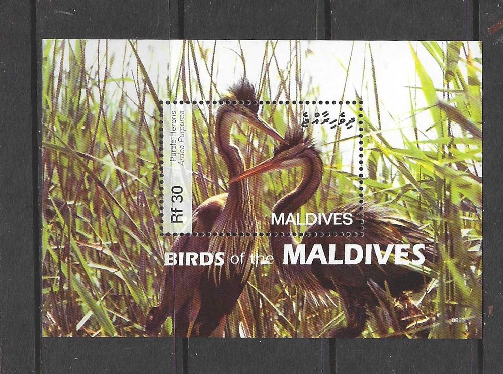 Maldives 2007 birds MNH (s329)