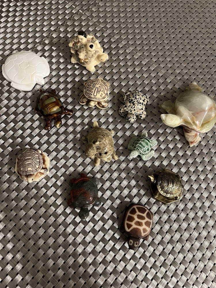 Turtle Collection