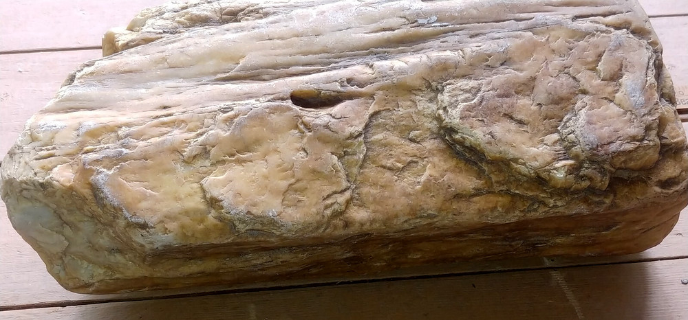 Petrified Wood or Rock