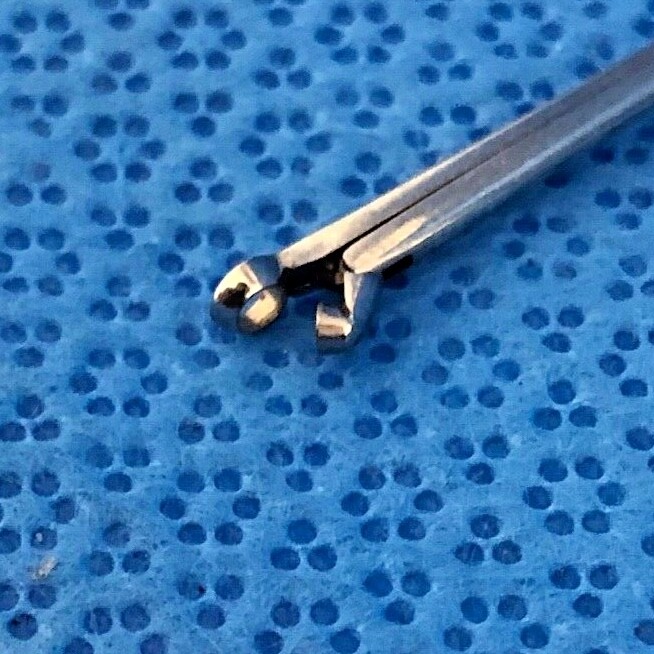 Storz Micro ENT Biopsy Cup Forcep