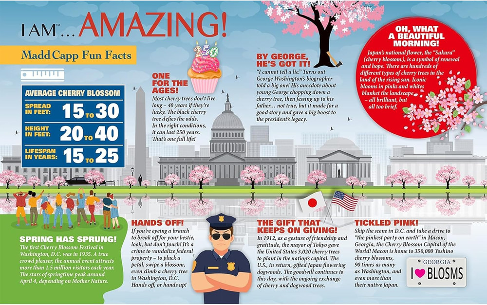 I Am Cherry Blossom 1000 Pieces