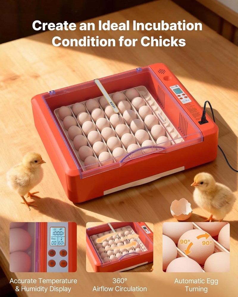 MATICOOPX 20 Egg Incubator with Humidity Display Egg Candler Automatic Egg Turne