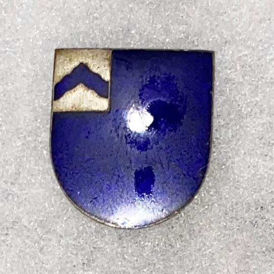 WWII 48th Infantry Regiment DI SB