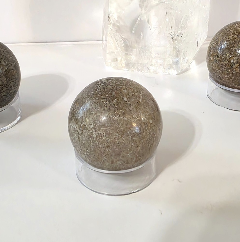 Dinosaur Bone Sphere #2- WYSIWYG