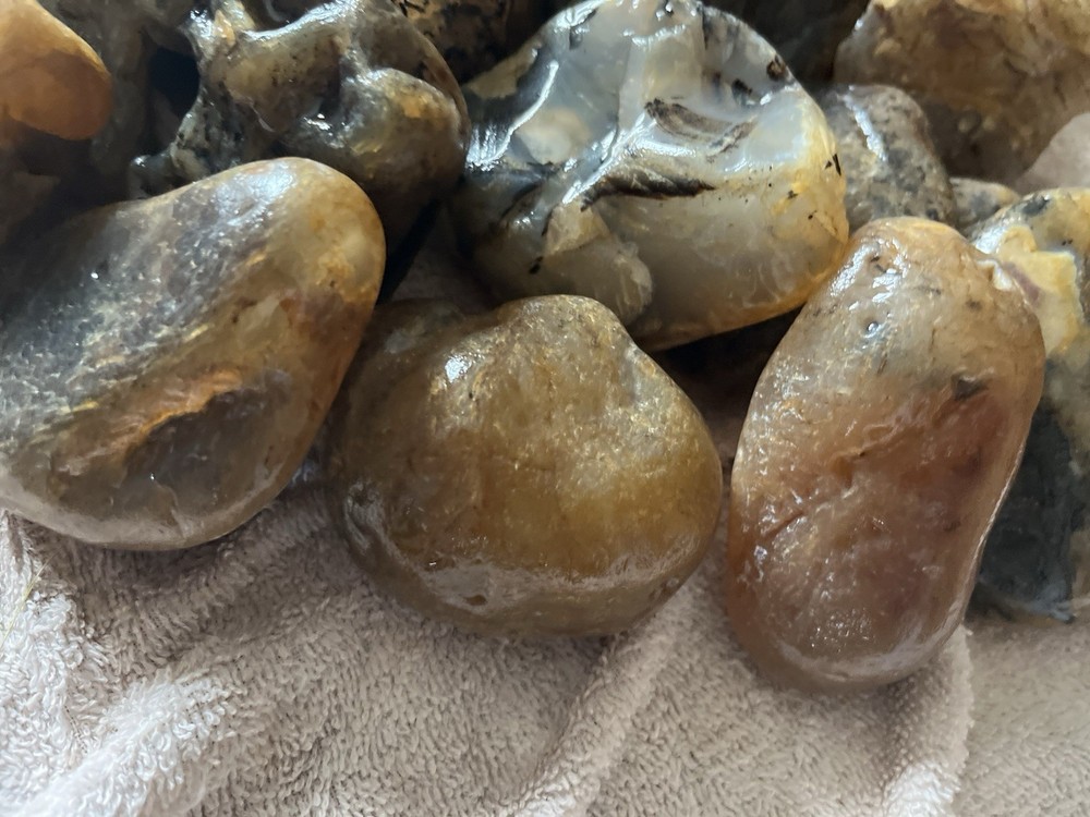27 Lbs. Rough Montana Agate (46)