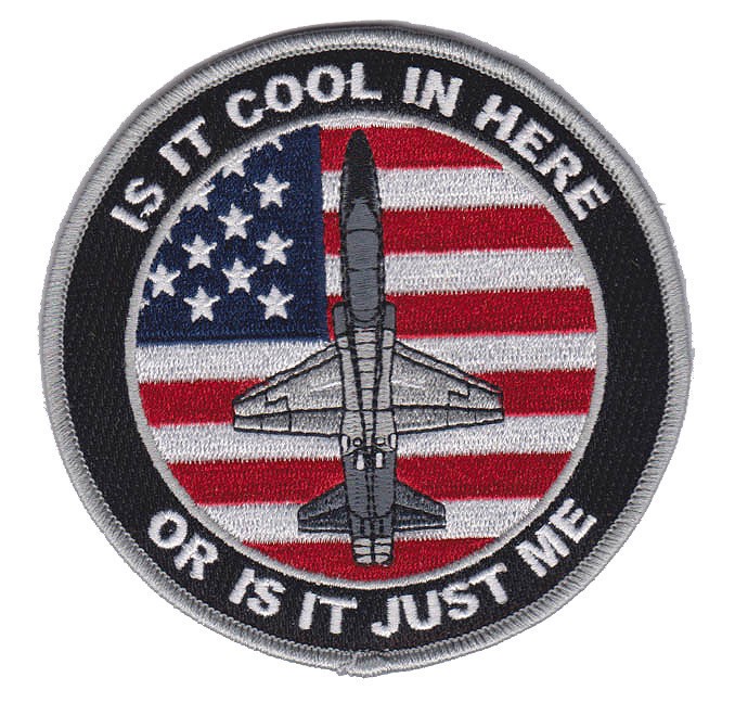 USAF USN T-38 UPT Pilot Training Morale Patch