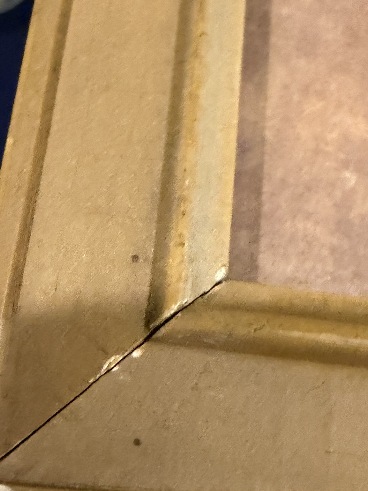 VINTAGE EDWARD CURTIS PHOTO / WOMAN & CHILD NUNIVAK/ ALASKA INUIT, ESKIMO